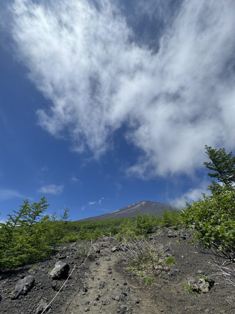 須走ルートの樹林帯から見上げた富士山の山頂
